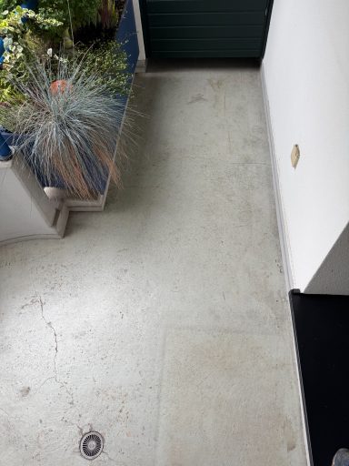 Bodenbereich mit Pflanzen und einer Tür im Hintergrund.