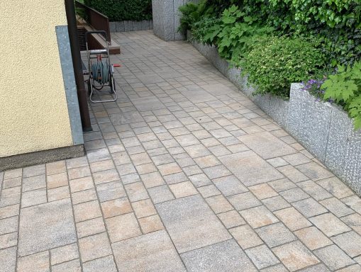 Gepflasterter Gehweg mit grünen Pflanzen im Hintergrund.